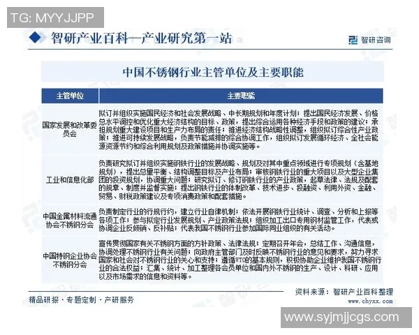 深入分析北京网球队的运营策略与市场推广模式