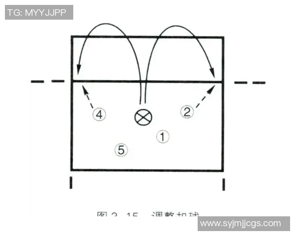 武汉排球队的防反战术解析与深度剖析排球竞技的魅力与挑战