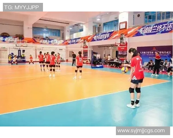 西安排球队逆袭之旅揭秘洲际杯背后的奋斗与荣耀
