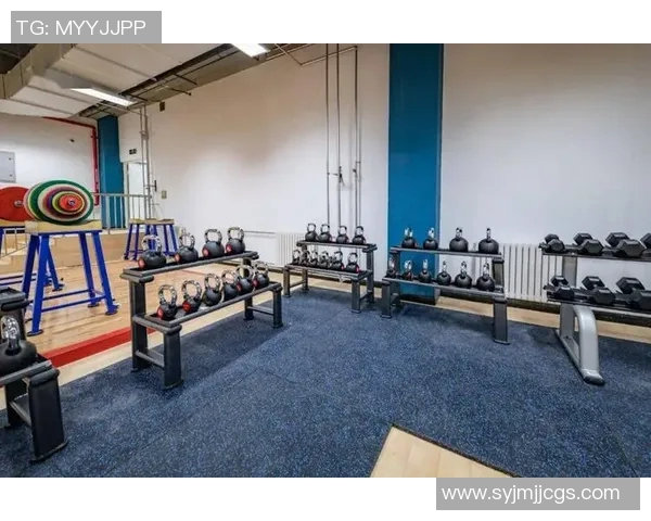 上海乒乓球队运营模式解析与发展策略探讨